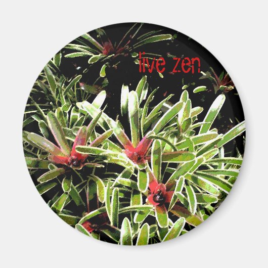 Bromeliden leben Zen-Magnet Magnet (Vorne)