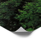 Bromo-Krater Poster (Ecke)