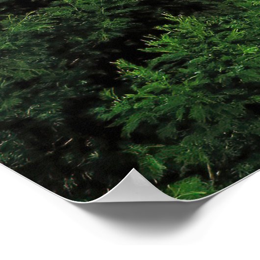 Bromo-Krater Poster (Ecke)