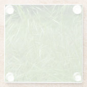 Bromus tectorum glasuntersetzer (Rückseite)