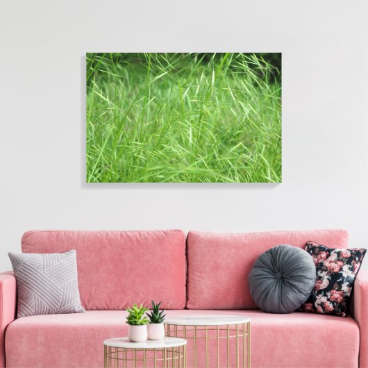 Bromus tectorum leinwanddruck (Insitu (Wohnzimmer))