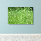 Bromus tectorum leinwanddruck (Insitu (Holzboden))