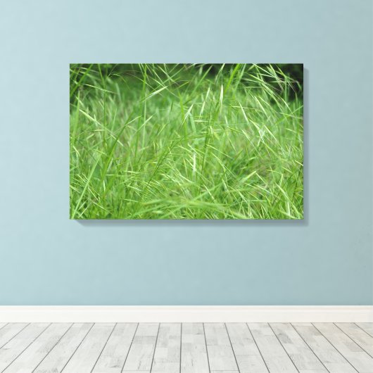 Bromus tectorum leinwanddruck (Insitu (Holzboden))