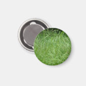 Bromus tectorum magnet (Vorderseite/Rückseite)
