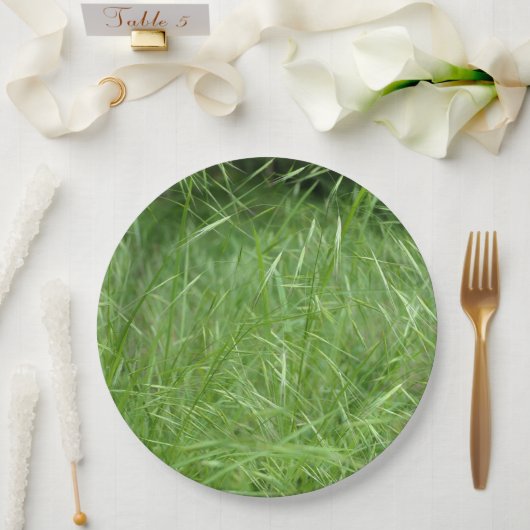 Bromus tectorum Paper Plate Pappteller (Hochzeit)