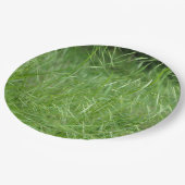 Bromus tectorum Paper Plate Pappteller (Schrägansicht)