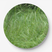 Bromus tectorum Paper Plate Pappteller (Vorderseite)
