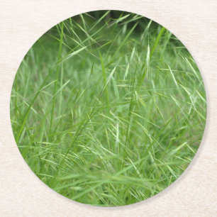 Bromus tectorum runder pappuntersetzer