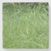 Bromus tectorum steinuntersetzer (Vorderseite)