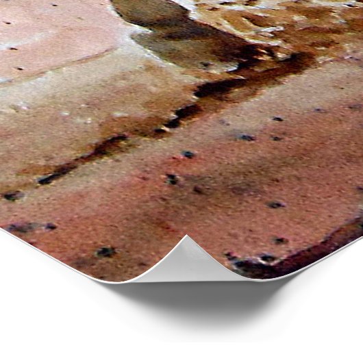 Bronc Riding Cowboy Poster (Ecke)