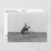 Bronco Busting Postcard Postkarte (Vorne/Hinten)