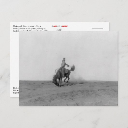 Bronco Busting Postcard Postkarte (Vorne/Hinten)