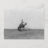 Bronco Busting Postcard Postkarte (Vorderseite)