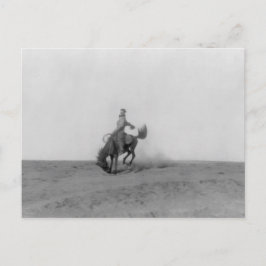 Bronco Busting Postcard Postkarte