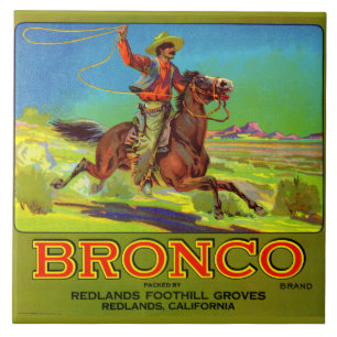 Bronco-Fruchtkartett der 20er Jahre Fliese