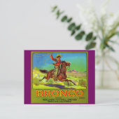 Bronco-Fruchtkartett der 20er Jahre Postkarte (Stehend Vorderseite)