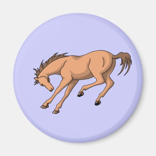 Bronco Magnet (Vorne)