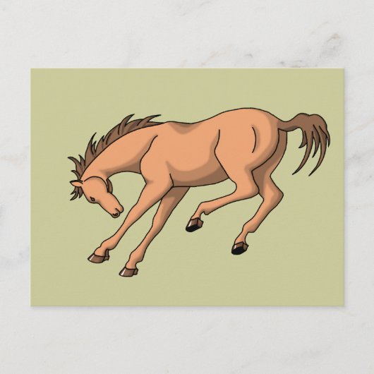 Bronco Postkarte (Vorderseite)