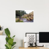 Bronte Bridge Poster (Heimbüro)