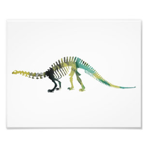Brontosaurus-Skelett Fotodruck