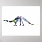 Brontosaurus-Skelett Poster (Vorne)