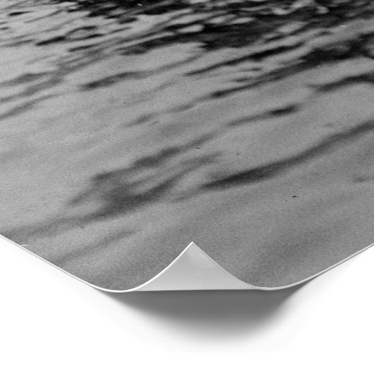 Bronx Amusement Park, 1920er Poster (Ecke)