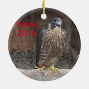 Bronx-Verzierung 2015 Keramik Ornament