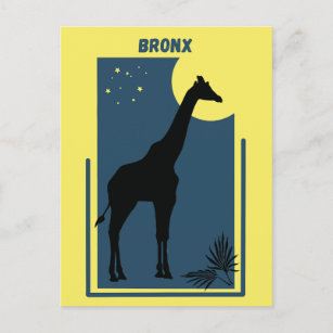 Bronx Zoo New York Vintag Giraffe Postkarte