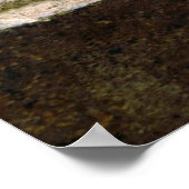 Bronze Beauty Poster (Ecke)