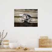 Bronze Beauty Poster (Küche)