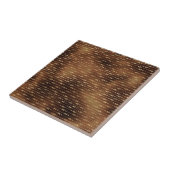 Bronze Brown Paint Golden Arrows Archer Fliese (Seite)