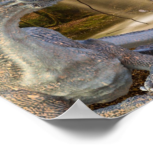 Bronze Dragon mit Fairy Elf Queen Poster (Ecke)