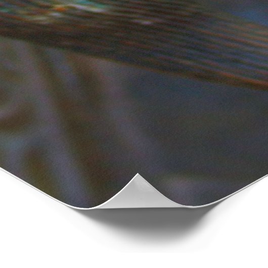 Bronze Dragon - Shanghai, China Poster (Ecke)