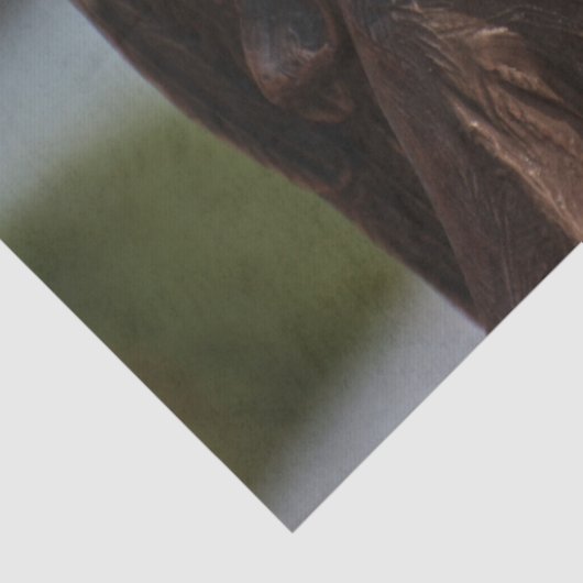 Bronze-Engelspapier Seidenpapier (Detail)