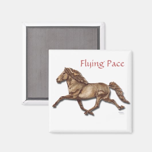 Bronze isländisch magnet (Vorderseite/Rückseite)