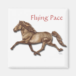 Bronze isländisch magnet