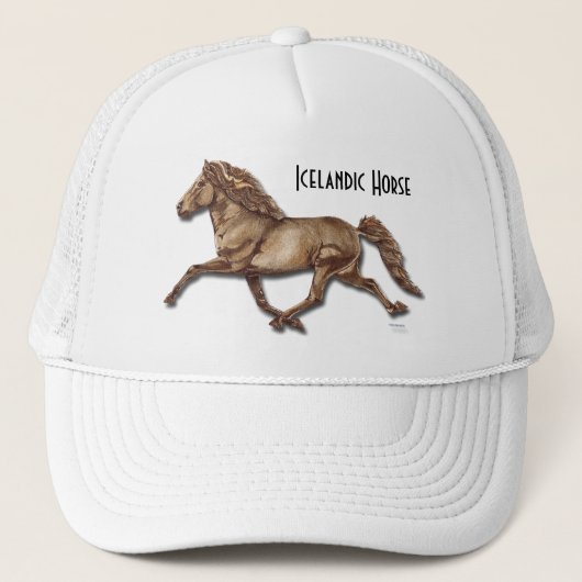 Bronze isländisch truckerkappe (Vorderseite)