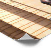 Bronze Jayhawk Poster (Ecke)