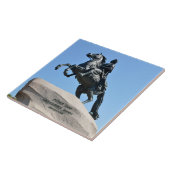 Bronze-Pferdefleisch Fliese (Seite)