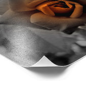 Bronze-Rose am Noon Day Fotodruck (Ecke)