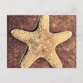 Bronze Starfish Postkarte (Vorderseite)