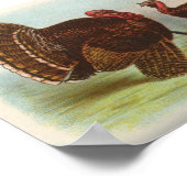 Bronze Turkeys Poster (Ecke)