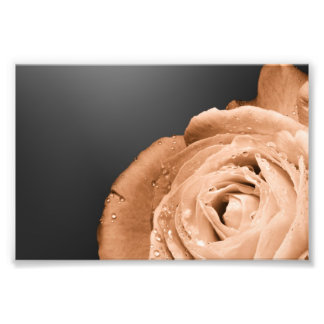 Bronzerose Fotodruck