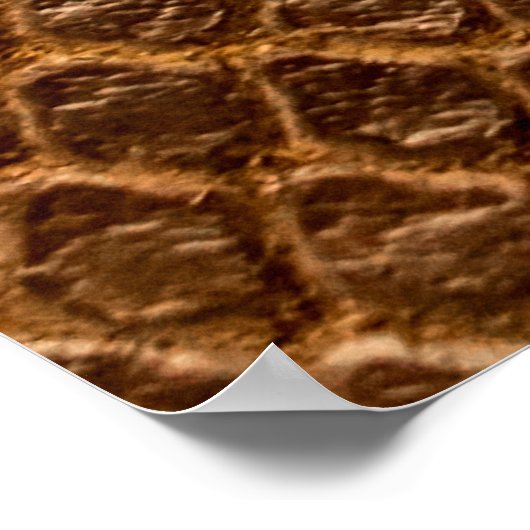 Bronzesnake-Lederleder mit Wavy-Textur Poster (Ecke)