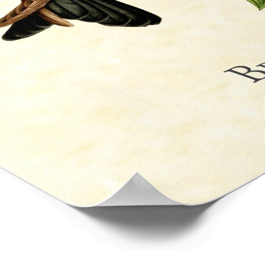 Bronzy Inca Hummingbird Art Print Poster (Ecke)