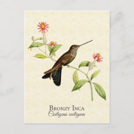 Bronzy Inca Hummingbird Vintag Art Postkarte