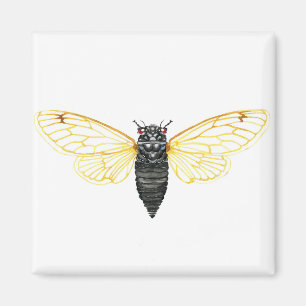 Brood X 17 Jahre Periodische Cicada Magnet