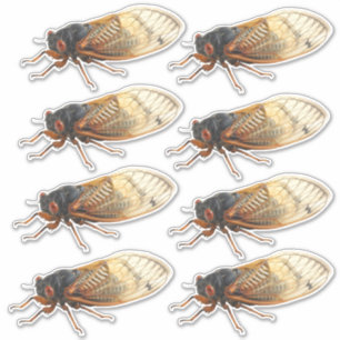 Brood X Periodical Cicada Aufkleber: 8 pro Blatt Aufkleber