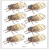 Brood X Periodical Cicada Stickers: 8 pro Blatt Aufkleber (Blatt)