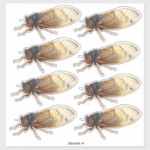 Brood X Periodical Cicada Stickers: 8 pro Blatt